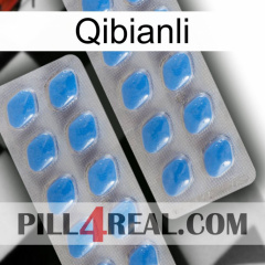 Qibianli 23